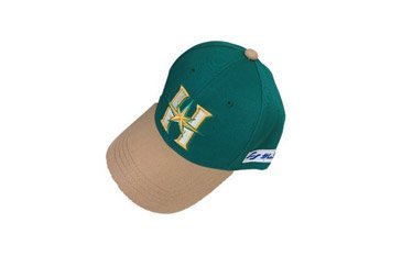 ファイターズ　地方開催記念2019 ボール5個 直前情報！9/21(土)～9/23(月・祝)《鎌スタ☆北海道まつり2019