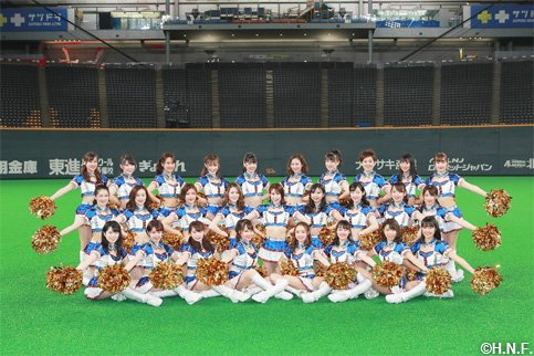 ファイターズガール