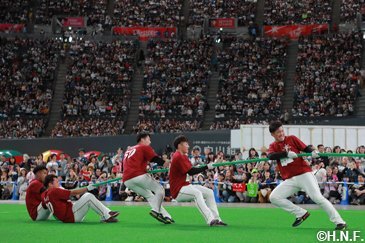 ファンフェスティバル2019を開催 | 北海道日本ハムファイターズ