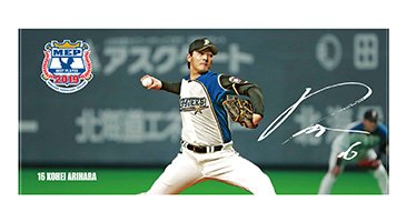 ビゲストタオル