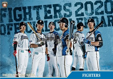 ☆大幅値下げ中☆ファイターズ 2020 ポストカードセット ☆大幅値下げ中☆ファイターズ 2020 ポストカードセット（価格