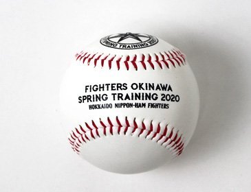 2020キャンプロゴボール