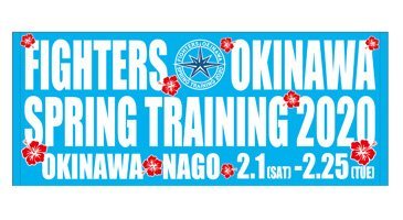 2020キャンプロゴフェイスタオル