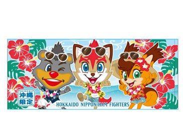 マスコットフェイスタオル沖縄ver.集合