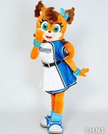 ポリーポラリス