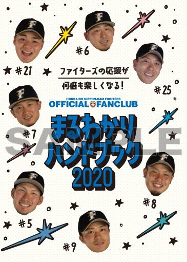 ハンドブック2020