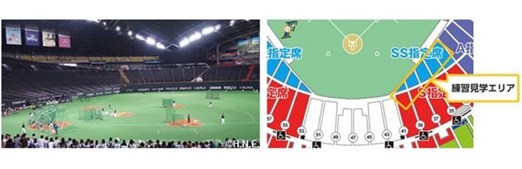 練習見学イメージ