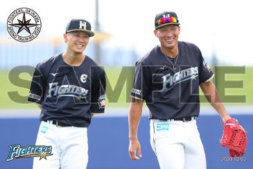 ハイライトフォトイメージ01