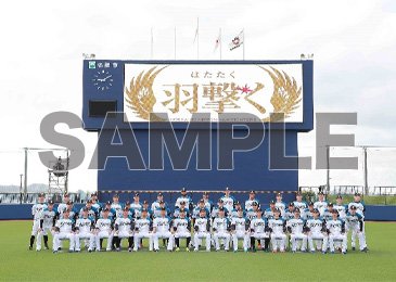 中面写真イメージ01