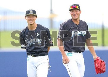 中面写真イメージ03