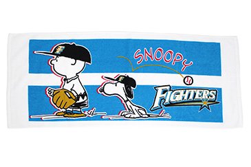 フェイスタオル