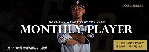 【期間限定値下】【未使用】【美品】北海道日本ハムファイターズ中田翔グッズセット 北海道日本ハムファイターズ中田翔 選手応援グッズ 背番号6 2014