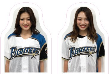 FANパネルイメージ