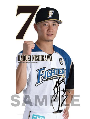 【受注】チェンジングタペストリー表