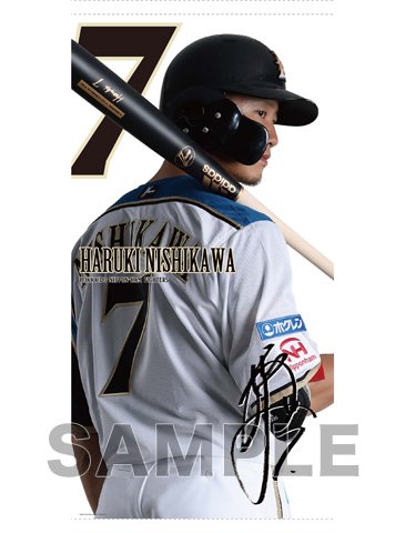 【受注】チェンジングタペストリー裏