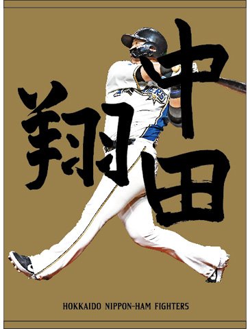 【受注】応援ブランケットタオル