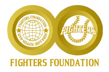 fighters foundation
