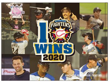 ブランケットタオル