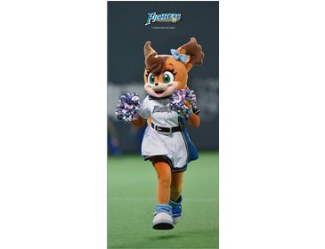 マスコット特大バスタオル