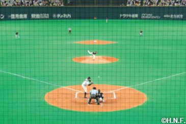 ダイヤモンドシート観戦イメージ