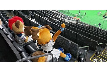 ダイヤモンドシート観戦イメージ