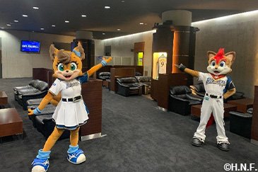 プレミアムラウンジイメージ