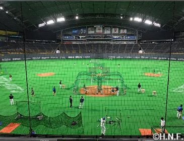 プラチナシート・ブロンズシート2