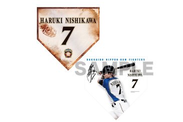 【受注】チェンジングホームベースタペストリー