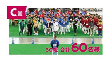 C賞　Fightersファンフェスティバル2020ペアご招待券