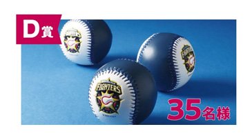 D賞　選手直筆サイン入りボール