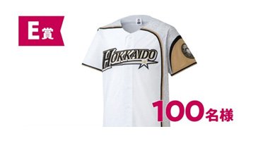 E賞　北海道シリーズ2020 WE LOVE HOKKAIDO限定ユニフォーム