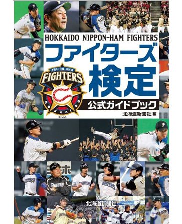 公式ガイドブック