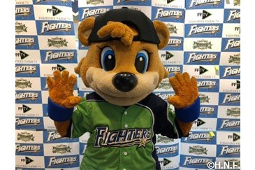 C☆Bと写真撮影イメージ