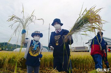 稲刈り体験の様子05