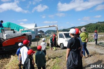 稲刈り体験の様子10