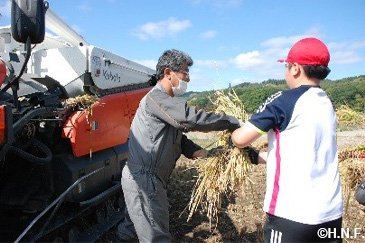 稲刈り体験の様子11