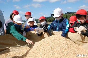 稲刈り体験の様子12