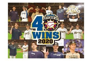 ブランケットタオル