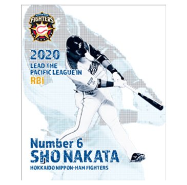 キャンバスボード