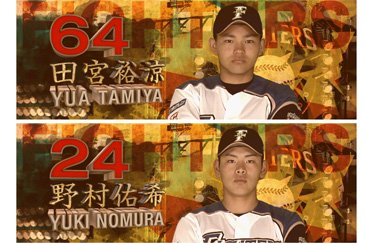 日本ハムファイターズ 鎌スタラッキーバッグ（北海道限定トートバッグ入り） 日本ハムファイターズ 鎌スタラッキーバッグ（北海道限定トート