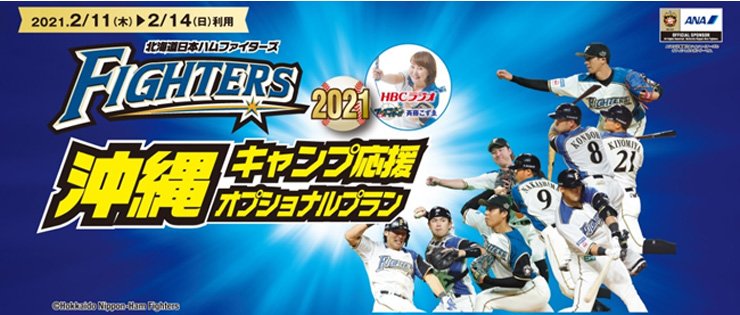 沖縄キャンプ応援オプショナルプラン