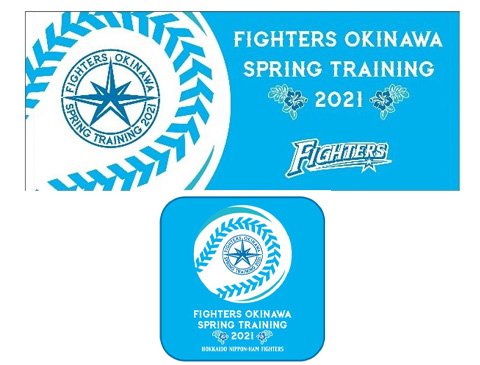 キャンプロゴフェイスタオル・ミニタオルセット