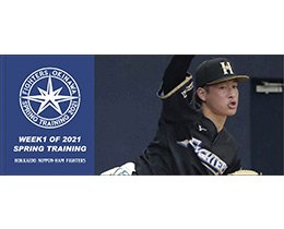 フェイスタオル