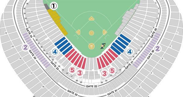 東京ドームMIXペアシート