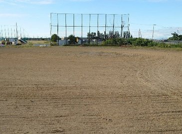 草刈り・掘り起こし作業後の状態