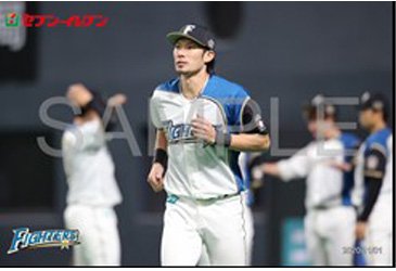 オリジナルハイライトフォト