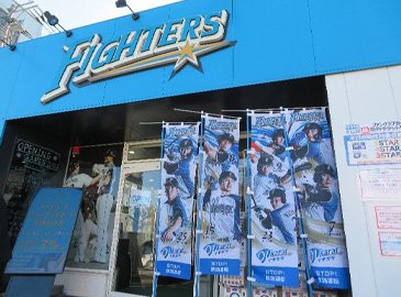ファイターズのぼり01