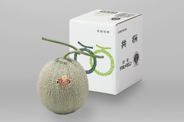 <夕張市>夕張メロン 1玉