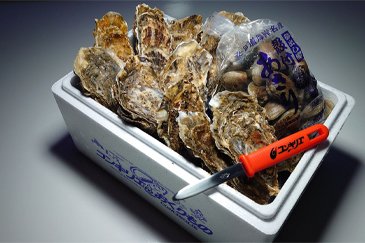<厚岸町>厚岸産牡蠣「マルえもん」2Lサイズ12個と厚岸産あさり500gセット