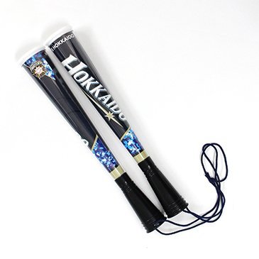 ツインスティック